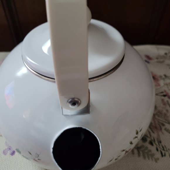 Pre Owned Pfaltzgraff Winterberry 3--Quart Enamel on Steel Tea Kettle - Picture 4 of 14